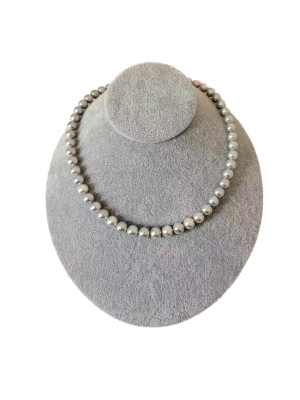 blue rose（無調色）品番：tm 3863