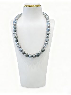 黑蝶南太平洋 品番：TM-4260