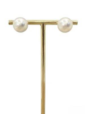 白蝶 品番：TM-4467