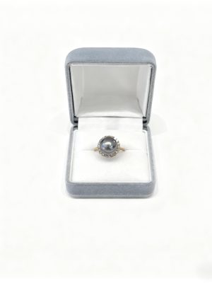 黑蝶 品番：TM-R1-D10315-K10