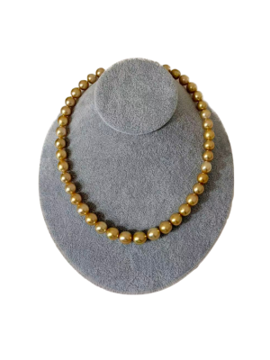 白蝶 ムーンレインボー 品番：tm 4039