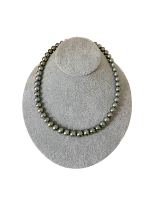 黑蝶 ocean blue 品番：tm 4184