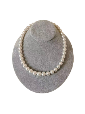 白蝶　品番:tm 4490