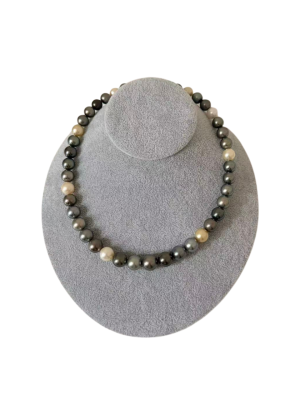 黑蝶　品番:tm 3840