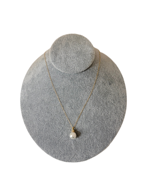 白蝶 品番：tm m1 d13899 s10