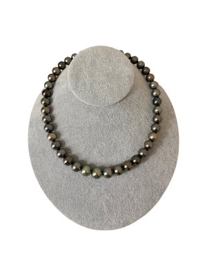 黒蝶真珠品番：